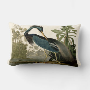 Coussin Rectangle Audubon Héron de Louisiane Oiseaux Amérique Art