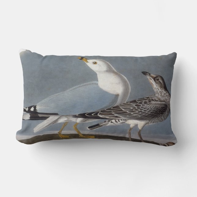Coussin Rectangle Audubon : Mouette Anneau-Affichée (Recto)