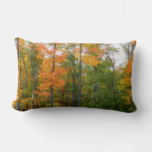 Coussin Rectangle Automne Maple Trees Automne Photographie de la nat (Recto)