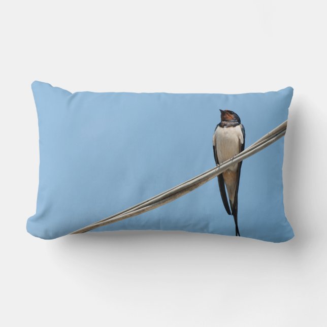 Coussin Rectangle Avaler assis sur le fil (Recto)