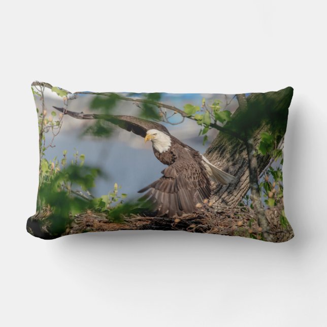 Coussin Rectangle Bald Eagle quittant le nid (Recto)