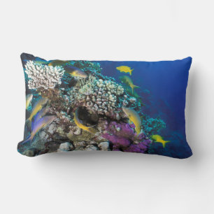 Coussin Rectangle Banc de rougets autour d'un petit corail