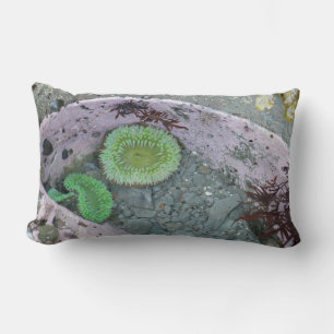 Coussin Rectangle Bassin de marée du Nord-Ouest Pacifique avec des a
