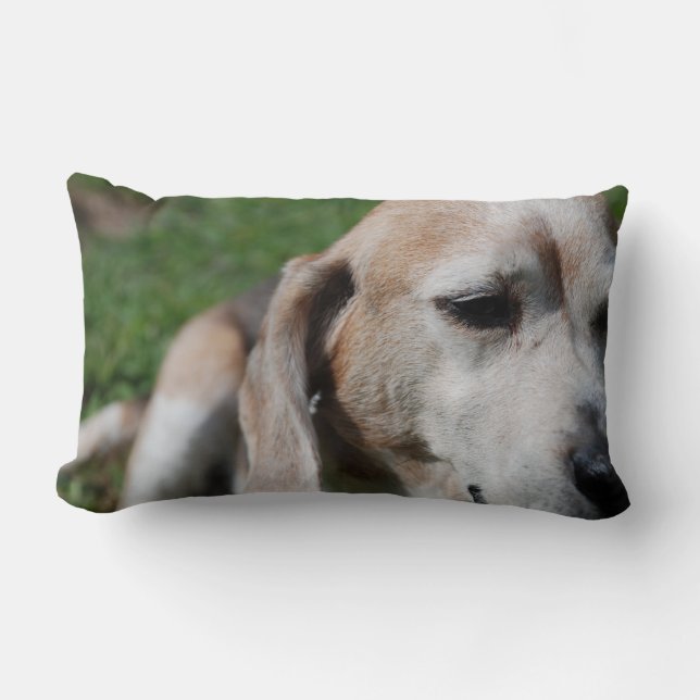 Coussin Rectangle beagle portrait (Recto)