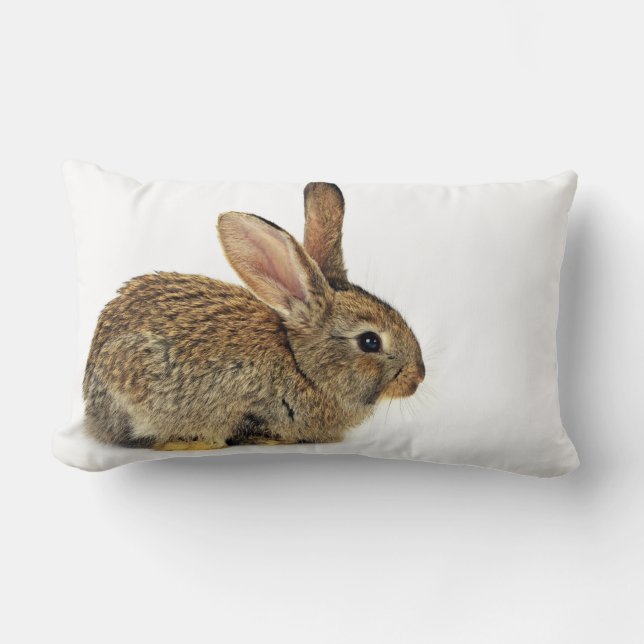 Coussin Rectangle Beau lapin (Recto)