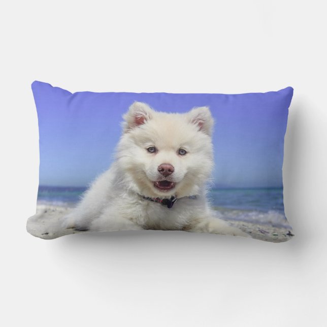 Coussin Rectangle Beau Samoyed Dog (Recto)