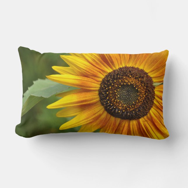 Coussin Rectangle Beauté des tournesols (Recto)