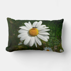 Coussin Rectangle Bee on Daisy Alaskan Summer Nature