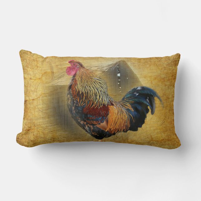 Coussin Rectangle Belle coop de poulet rôti et de grange rustique (Recto)