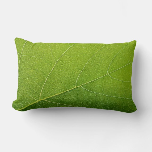 Coussin Rectangle Belle feuille verte (Recto)
