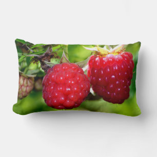 Coussin Rectangle Belles framboises rouges
