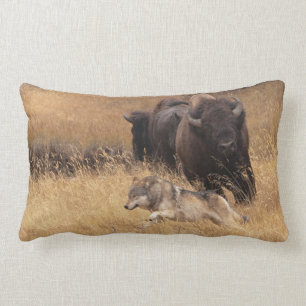 Coussin Rectangle Bison, femelle, et loup de Taureau