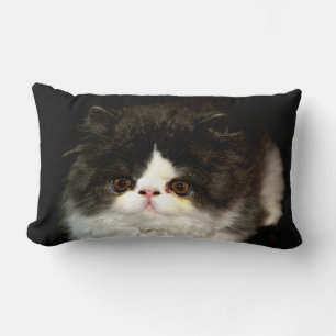 Coussin Rectangle Black White Kitten noir blanc mignon chat