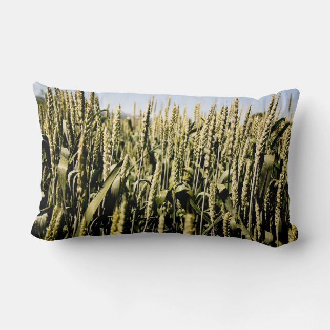 Coussin Rectangle Blé (Verso)