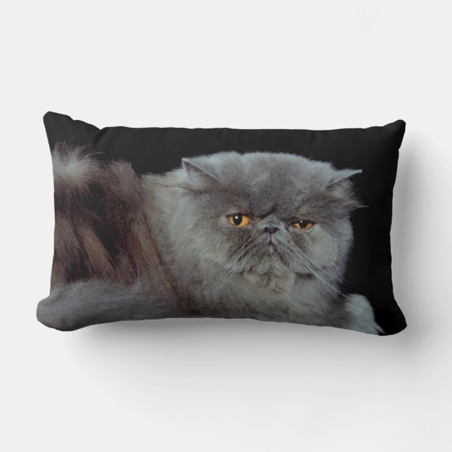 Coussin Rectangle Bleu perse (Recto)