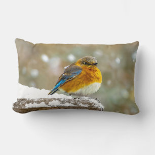 Coussin Rectangle Bleuet de l'Est en neige - Photo originale