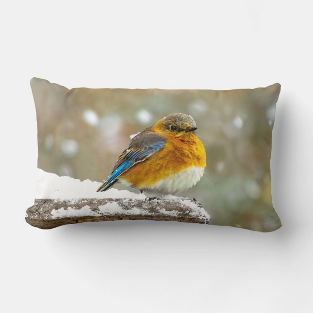 Coussin Rectangle Bleuet de l'Est en neige - Photo originale (Recto)