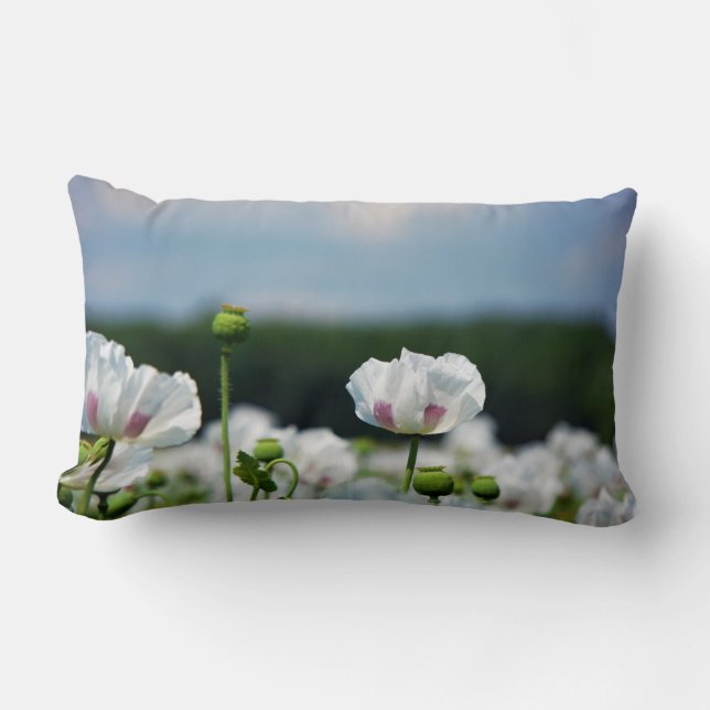 Coussin Rectangle Bloemen veld, Papaver somneferum maanzaad bloem. (Recto)