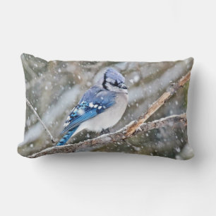 Coussin Rectangle Blue Jay dans la tempête de neige