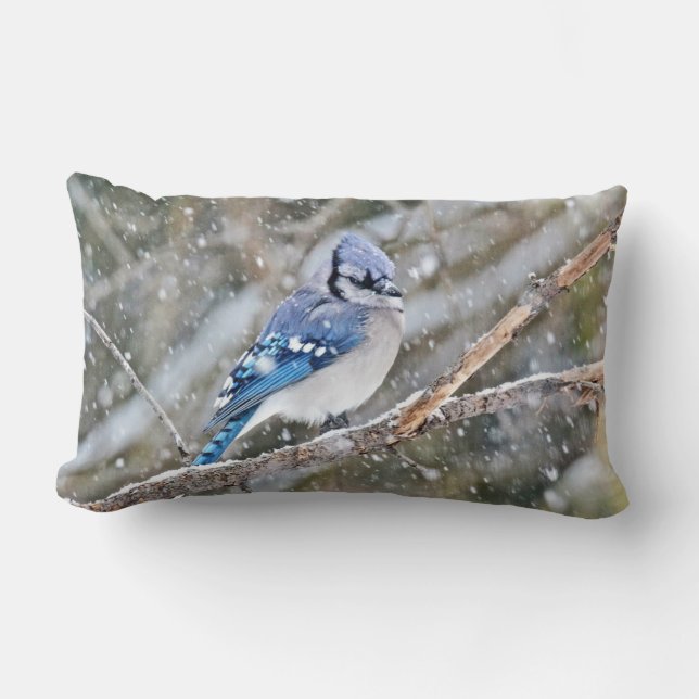 Coussin Rectangle Blue Jay dans la tempête de neige (Recto)