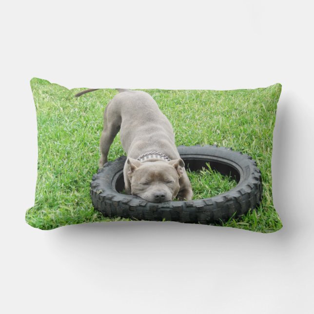 Coussin Rectangle Blue Staffordshire Bull Terrier Temps de jeu. (Recto)