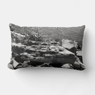 Coussin Rectangle Bois de dérive