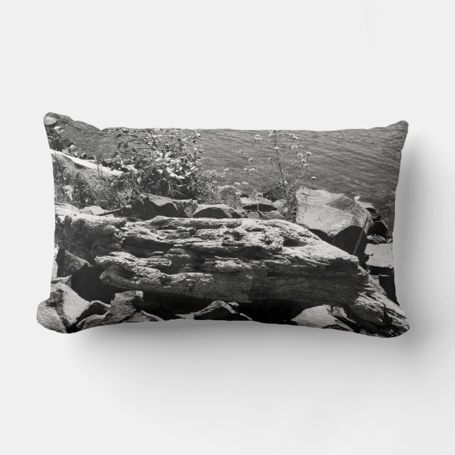 Coussin Rectangle Bois de dérive (Recto)