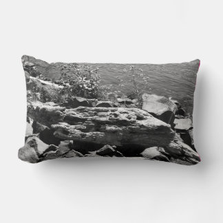 Coussin Rectangle Bois flotté