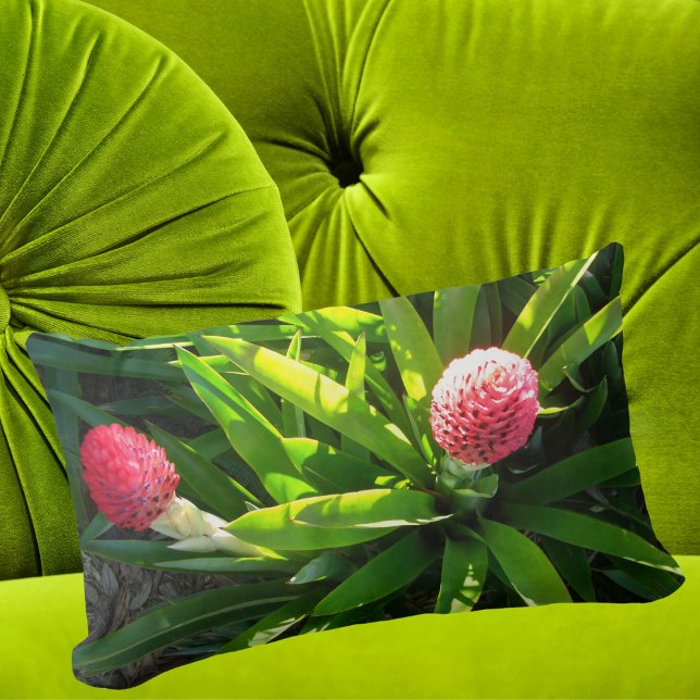 Coussin Rectangle Bok Tower Garden Rose Tropical Flower - Bromeliad (Créateur téléchargé)