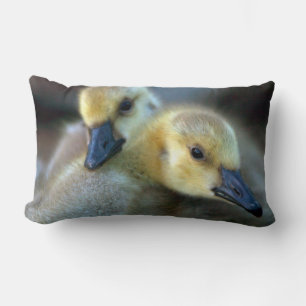 Coussin Rectangle Bord de lac