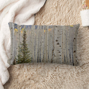 Coussin Rectangle Bosquets d'aspens en automne   Montagnes Rocheuses