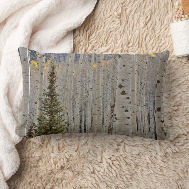 Coussin Rectangle Bosquets d'aspens en automne | Montagnes Rocheuses (Couverture)