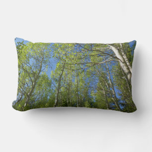 Coussin Rectangle Bouleaux d'été aux montagnes Rocheuses