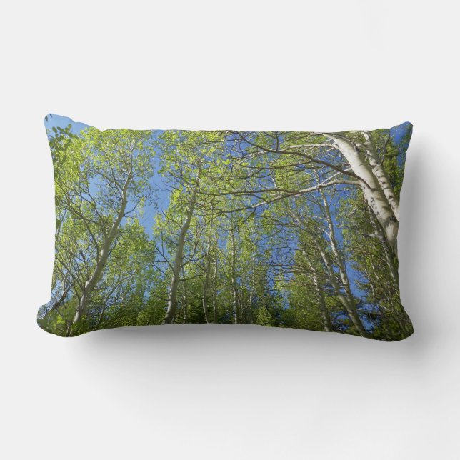 Coussin Rectangle Bouleaux d'été aux montagnes Rocheuses (Recto)