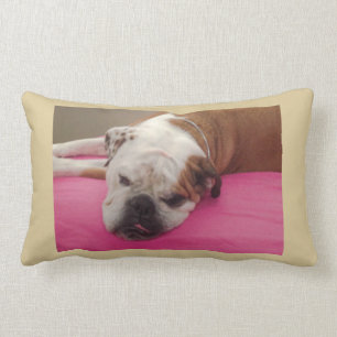 Coussin Rectangle Bouledogue anglais