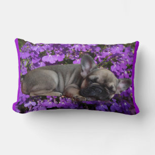 Coussin Rectangle Bouledogue français Fleurs Bouledogue français