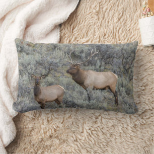 Coussin Rectangle Bull Elk   Parc national de Yellowstone, Wyoming