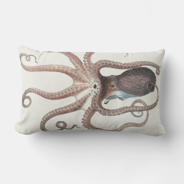 Coussin Rectangle Calmar géant/poulpe/sous-marin/20" océanique (Recto)