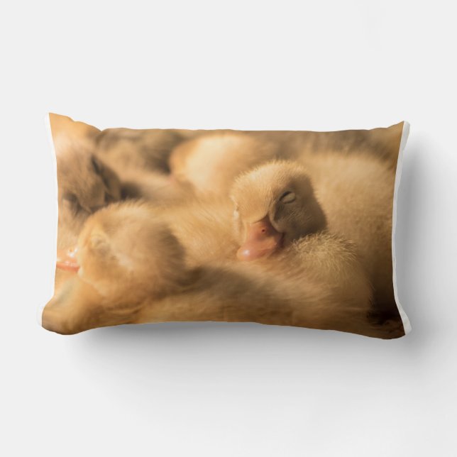 Coussin Rectangle Camaraderie (Recto)