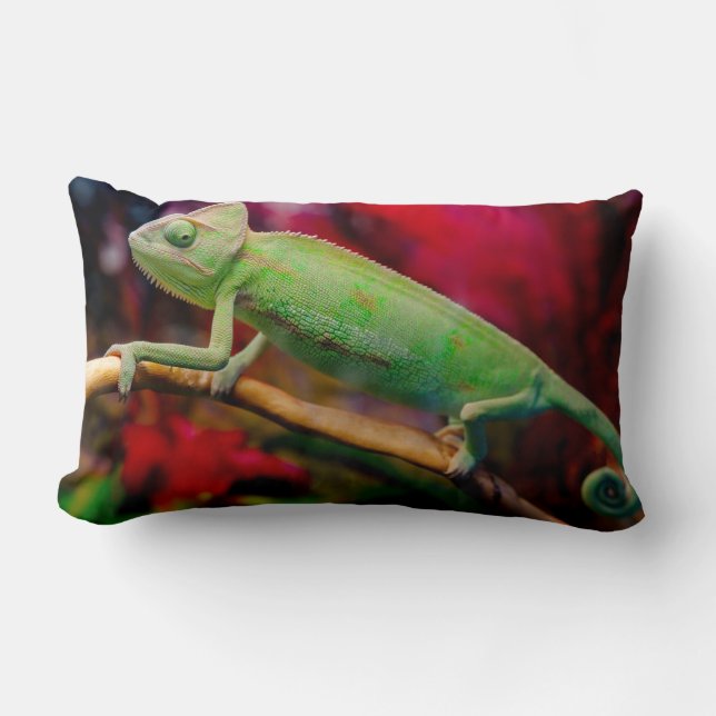 Coussin Rectangle Caméléon vert sur la branche (Recto)