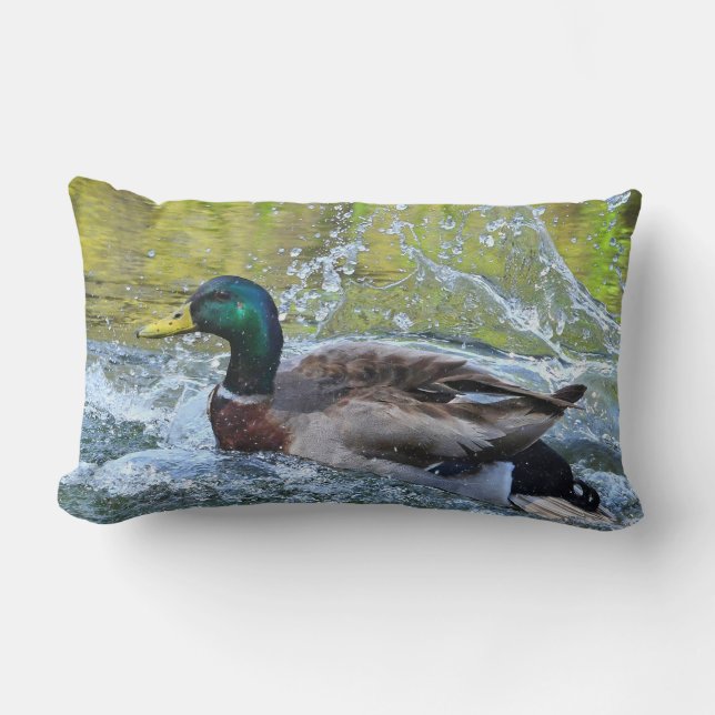 Coussin Rectangle Canard de Mallard d'éclaboussure de ressort (Recto)