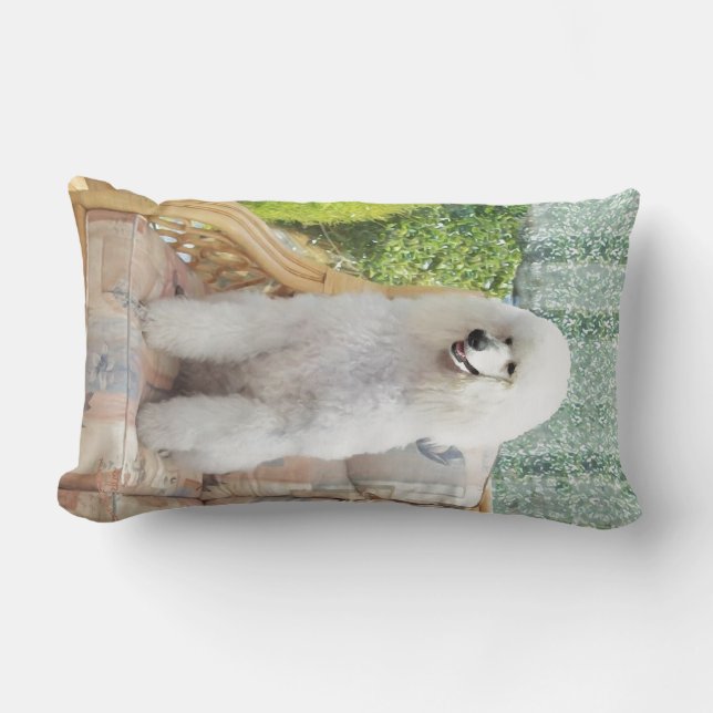 Coussin Rectangle Caniche Blanc (Recto)