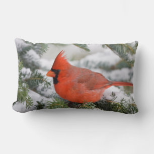 Coussin Rectangle Cardinal du Nord à Balsam sapin en hiver