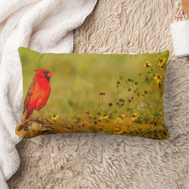 Coussin Rectangle Cardinal mâle sur une bûche (Couverture)
