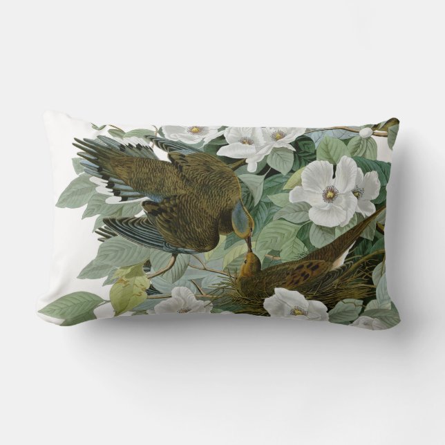 Coussin Rectangle Carolina Pigeon Audubon Morning Dove (Recto)