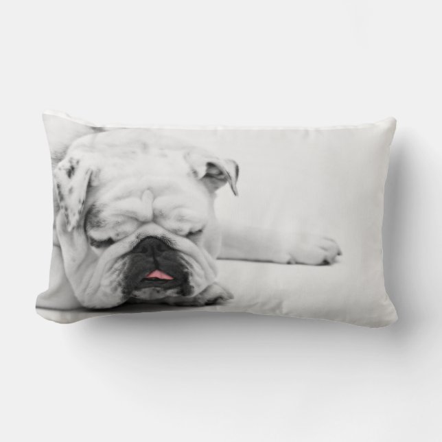 Coussin Rectangle Carreau de décor de sommeil de blanc gris de (Recto)