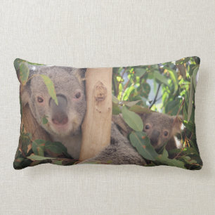 Coussin Rectangle Carreau de koala de maman et de bébé