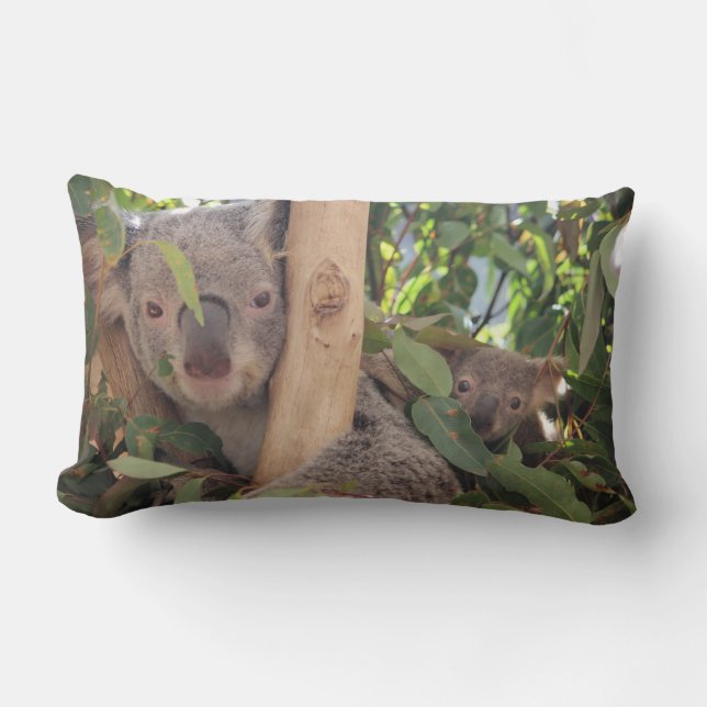 Coussin Rectangle Carreau de koala de maman et de bébé (Recto)