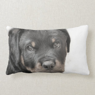 Coussin Rectangle Carreau de lumbar de chien de rottweiler