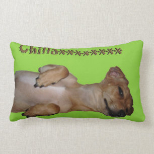 Coussin Rectangle Carreau de Lumbar de Chillaxin Chiweenie